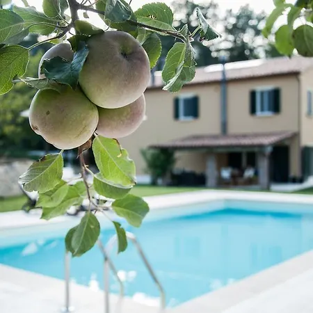 Agriturismo Tenuta Borgio Farmház Venarotta